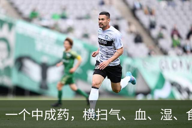 一个中成药，横扫气、血、湿、食、火、痰6种垃圾，打通三焦身体好