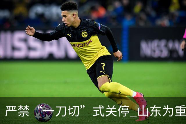 严禁“一刀切”式关停 山东为重大事故隐患停产整顿“立规”