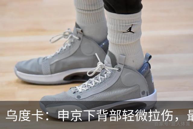 乌度卡：申京下背部轻微拉伤，最多缺席几场