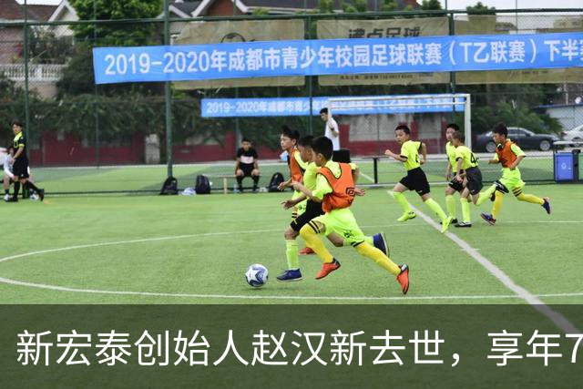 新宏泰创始人赵汉新去世，享年73岁