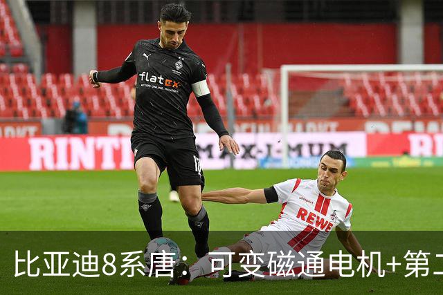 比亚迪8系唐：可变磁通电机+第二代刀片电池全曝光，固态电池下放